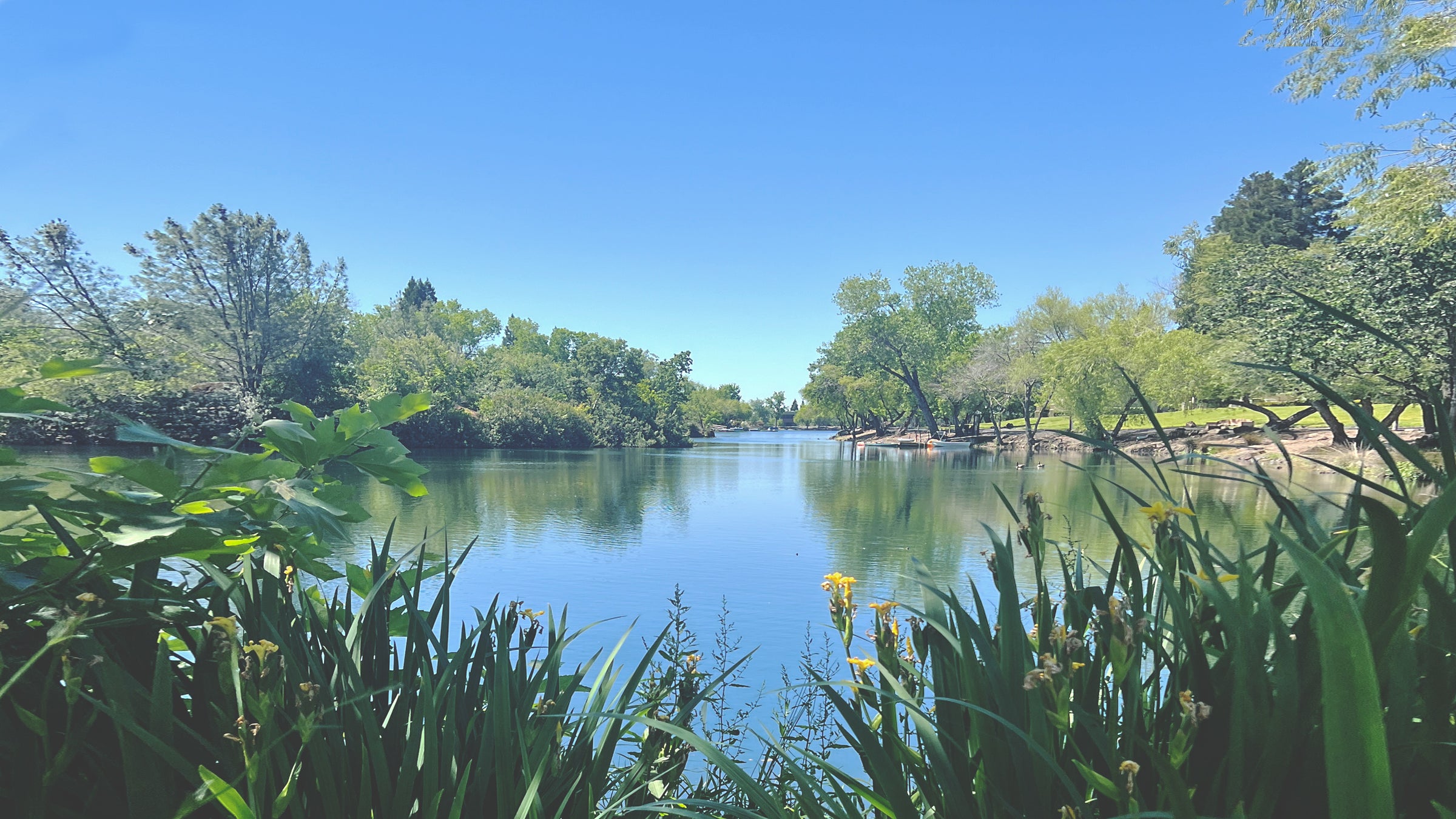 California Park